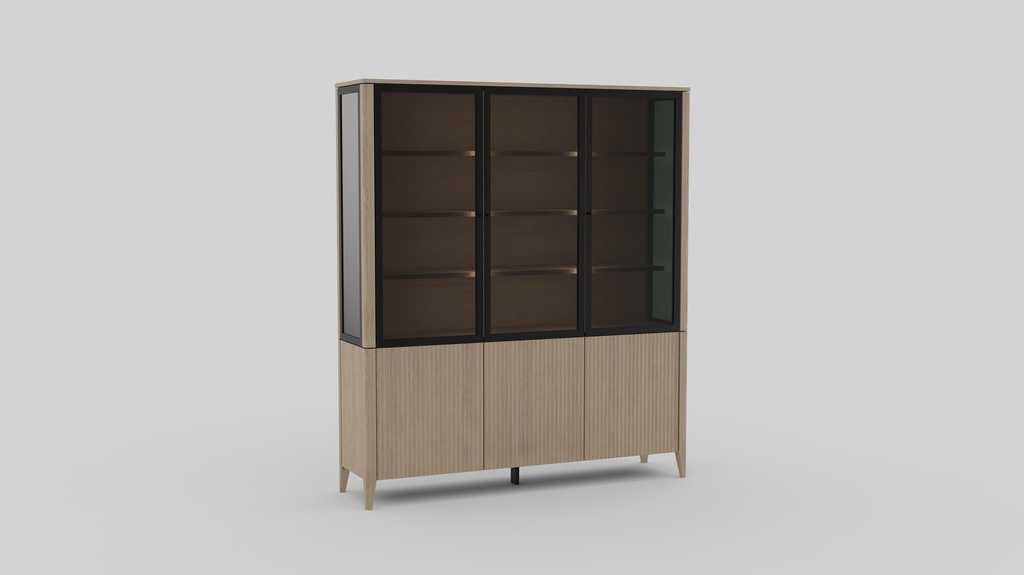 Vitri VT13 vitrine 3d